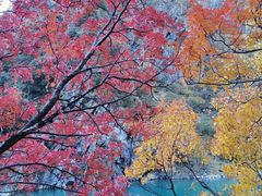 -叠溪松坪沟景区