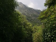 -少华山国家森林公园