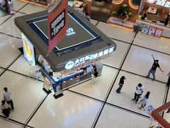 -岭南站NOVA
