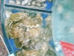 -海之味海鲜大咖·家常菜