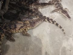 -乌鲁木齐海洋馆