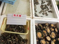 -外伶仃岛海鲜市场