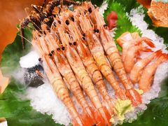 牡丹虾-月龍吟(朝龙汇店)