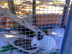 -TIPPI营地 房车主题·露营烧烤团建轰趴(天安假日店)