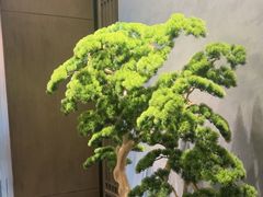 -百富源·海鲜辽菜(和平北大街店)