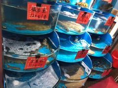 -北戴河庆山饭店·海鲜砂锅粥(北戴河黑石路店)