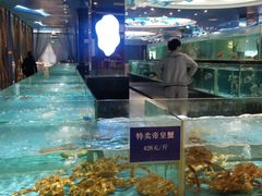 水产区-都市阳光海鲜城(青山湖店)