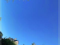 -北京张裕爱斐堡酒庄