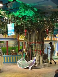 -酷嗒动物文化乐园(cutezoo西溪乐天城店)