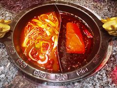 -蜀大侠火锅(森兰花园城店)
