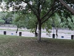 -四川大学(江安校区)