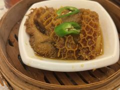 沙爹柱侯金钱肚-龙的酒楼·手工早茶·顺德菜(近良路店)