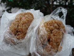 -六广门毛阿姨糯米饭