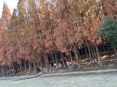 -南京金牛湖风景区