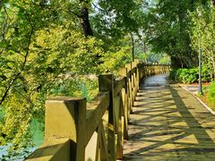 -广州市流溪河国家森林公园