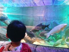 -沈阳海洋探索中心