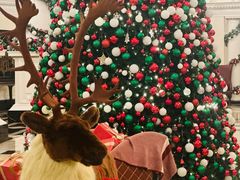 -Salon de Ville浦江汇(上海外滩华尔道夫酒店店)