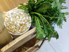 -濠七糟粕醋•海南酸汤火锅(中关村店)