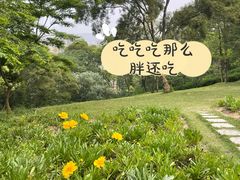 -飞凤山奥体公园