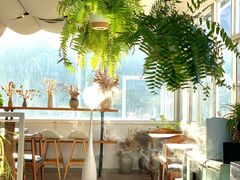 -唐咖精品咖啡(大理古城手冲店)