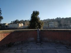 -圣母百花大教堂穹顶