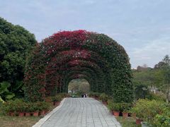 -东莞植物园