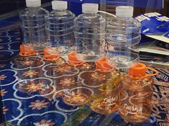 -milkplus·泰式奶茶(较场东路店)