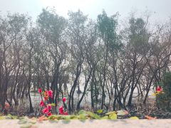 -宝安西湾红树林湿地公园