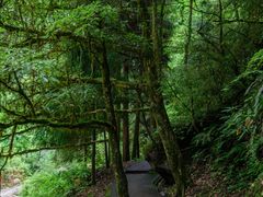 -西岭雪山大飞水景区