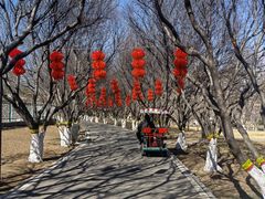 -石家庄市植物园