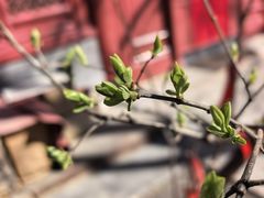 -大顺堂食府(牛街店)