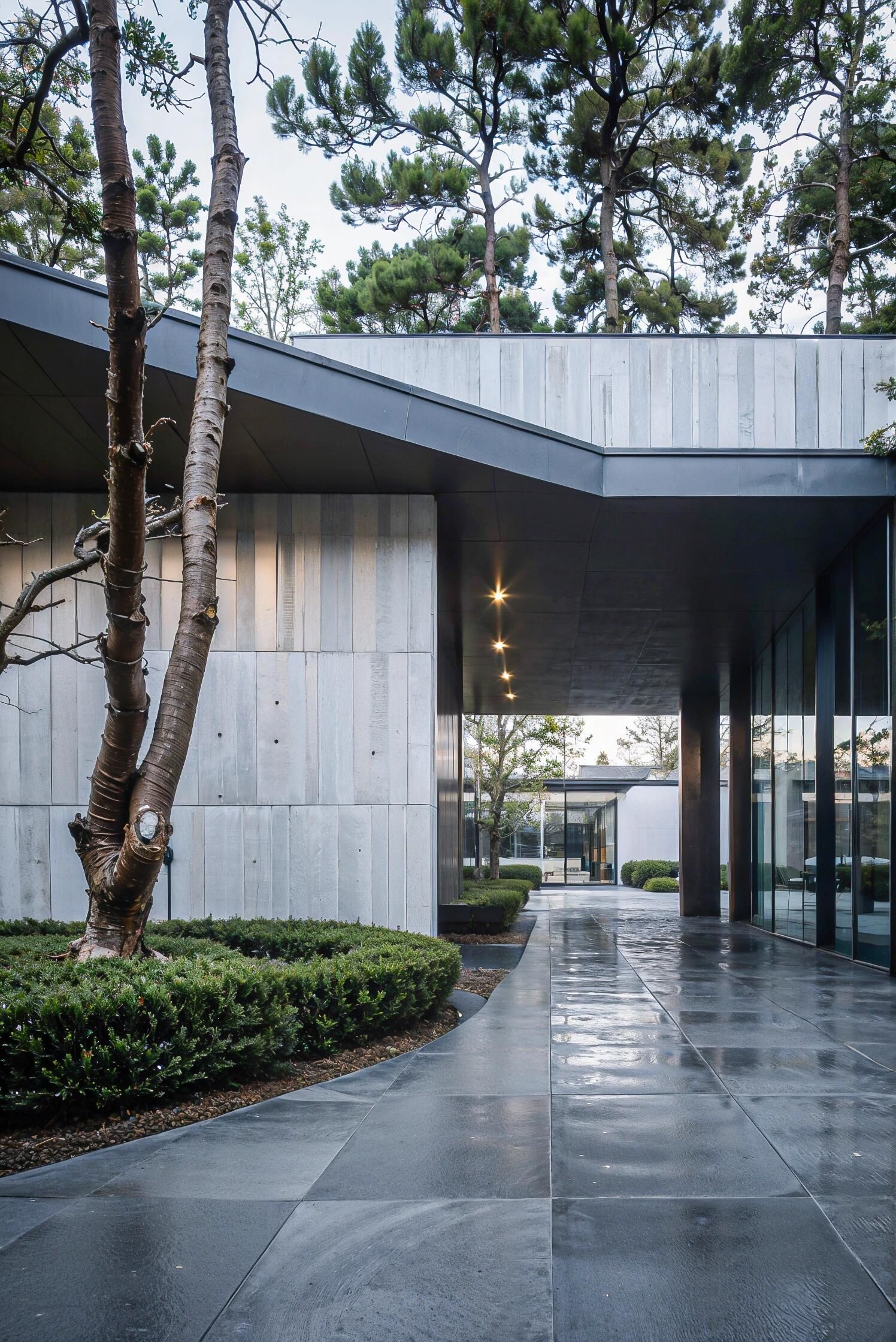 #建筑美学的极致演绎 #生活的极致一定是简与静 #设计案例分享