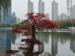 -后襄河公园
