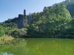 -南沙蒲洲花园