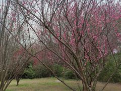 -蜀冈西峰生态公园