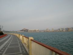 -星光岛