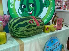 -西瓜小镇