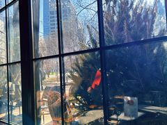 -The place那儿(新城国际店)