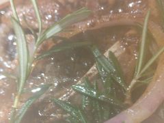 -豪客来牛排(海沧阿罗海店)