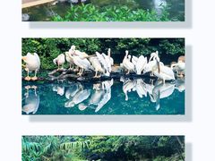 -珠海长隆海洋王国