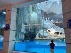 -帝企鹅自助餐厅•儿童岛•真企鹅(长隆企鹅酒店)