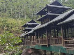 -紫云谷景区