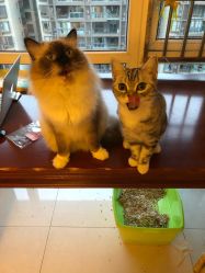 -恒美雅轩·品牌直营连锁