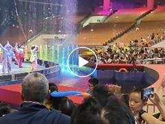 -灵玲国际马戏城
