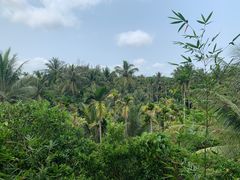 -万兴启丰椰子文化园餐厅