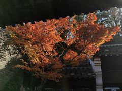 -何园