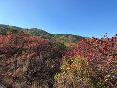 -北京西山国家森林公园