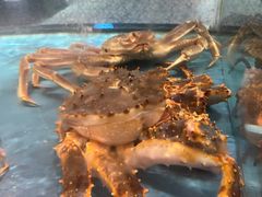 -都市阳光海鲜城(青山湖店)