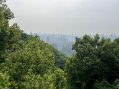 -南山植物园