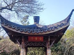 -杭州植物园